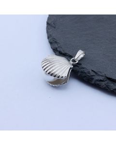 304 Stainless Steel Privezak Školjka 19x17 mm/1 kom ...26SS03-C-S
