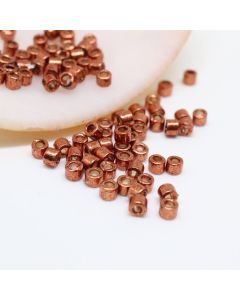 Miyuki Delica 11/0  ( 30204D )