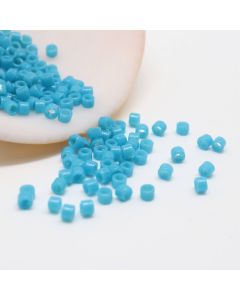 Miyuki Delica 11/0 ( 50247D )