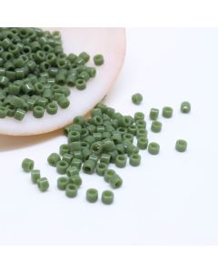 Miyuki Delica 11/0 ( 50262D )