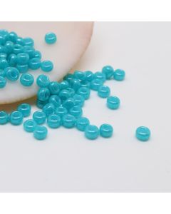 Miyuki Rocaille 11/0  ( 75034R )