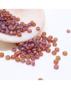 Miyuki Rocaille 11/0  ( 75060R )
