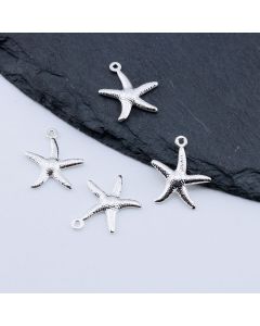 Stainless Steel Privezak Starfish, Silver...F180-04S