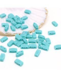 MIYUKI Half Tila , Japanske staklene perle sa 2 rupe (MHT05013)