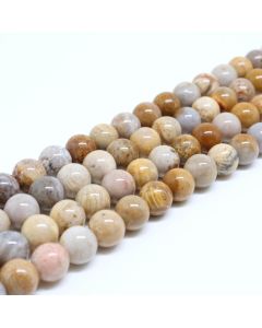 Prirodni Fosilizovan koral perle 6 mm ( 1300002 )