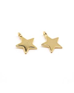 Privezak pozlata Yellow gold 12x10 mm (  332042 )
