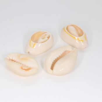 Perla  od školjke oko 22-24x15 mm (  130005 )
