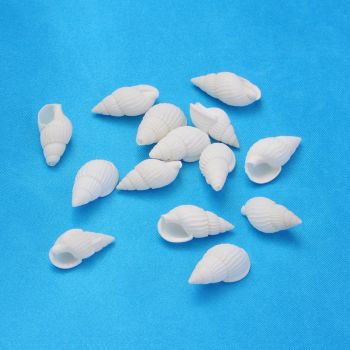 Perle od školjke , oko 20x10x8mm, rupa 1mm   ( SHE01)