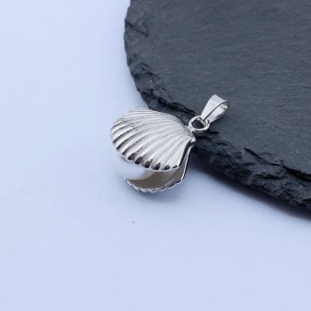 304 Stainless Steel Privezak Školjka 19x17 mm/1 kom ...26SS03-C-S