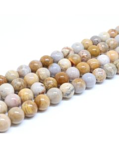 Prirodni Fosilizovan koral perle 8 mm ( 1300001 )
