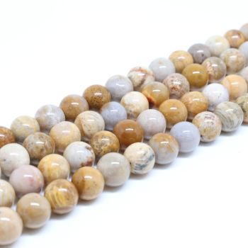 Prirodni Fosilizovan koral perle 8 mm ( 1300001 )