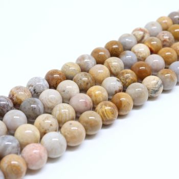 Prirodni Fosilizovan koral perle 6 mm ( 1300002 )