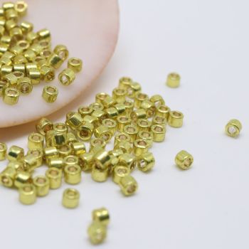 Miyuki Delica 11/0  ( 20205D )