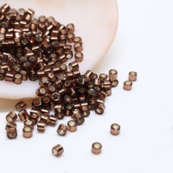 Miyuki Delica 11/0  ( 50219D )