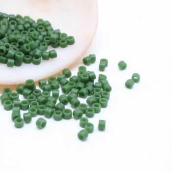 Miyuki Delica 11/0  ( 50255D )