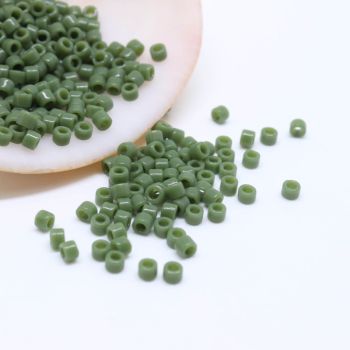 Miyuki Delica 11/0  ( 50262D )