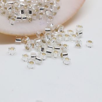 Miyuki Delica 11/0  ( 5036D )