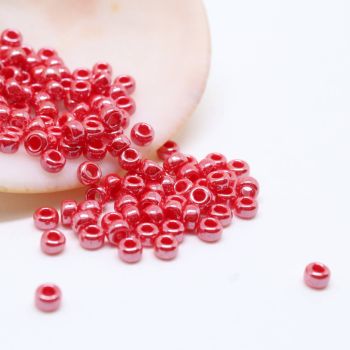 Miyuki Rocaille 11/0  ( 75045R )