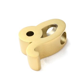 Stainless Steel Privezak Horskopski Znak-Lav...U038-01G-05