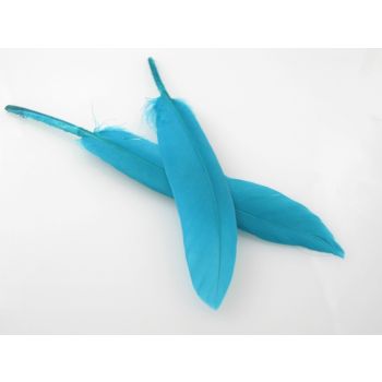 Ukrasno bojeno perje za dekoracije,  10-20mm  (PERO01)