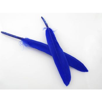 Ukrasno bojeno perje za dekoracije,  10-20mm  (PERO02)