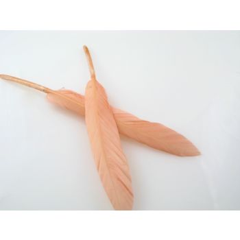 Ukrasno bojeno perje za dekoracije,  10-20mm (PERO06)