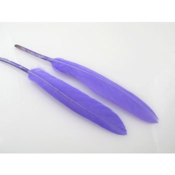 Ukrasno bojeno perje za dekoracije,  10-20mm  (PERO08)