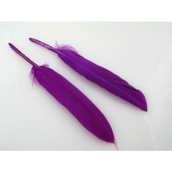 Ukrasno bojeno perje za dekoracije,  10-20mm (PERO09)