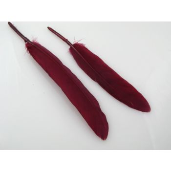 Ukrasno bojeno perje za dekoracije,  10-20mm (PERO10)