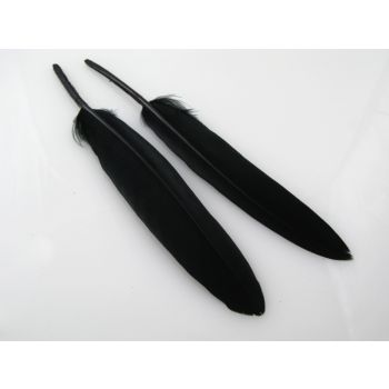 Ukrasno bojeno perje za dekoracije,  10-20mm (PERO11)