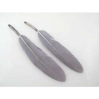 Ukrasno bojeno perje za dekoracije,  10-20mm (PERO12)